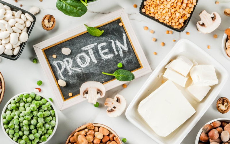 Chế độ ăn tăng cường bổ sung protein và chất xơ